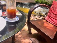 -Fern Forest Cafe