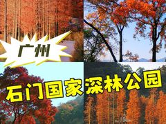 -广州市石门国家森林公园