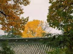 -潭柘寺景区