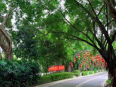 -大屏嶂森林公园