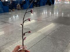 -长春西站