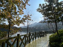 -广州市流溪河国家森林公园