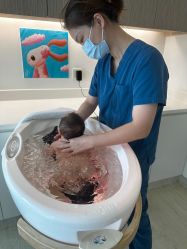-广州和睦家医院·医学月子