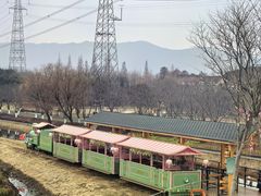 -长田漾湿地公园