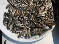 -江边城外烤全鱼(世茂广场店)