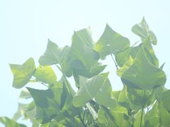 -小南海站
