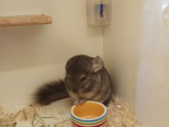 -龙猫仔乐园(惠福东路店)