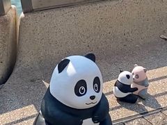 -星光大道