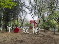 -双榆树公园