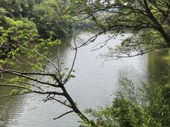 -白马涧龙池景区
