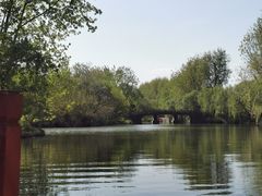 -溱湖国家湿地公园