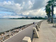 -宝安西湾红树林湿地公园