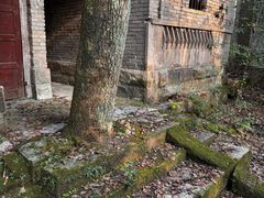 -缙云山景区