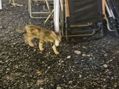 -DGE季风钓虾营地·团建·聚会
