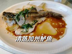 -新君悦国际酒店
