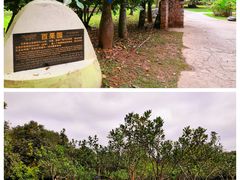 -中国科学院西双版纳热带植物园
