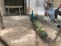-罔极寺