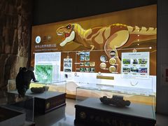 -中国西峡恐龙遗迹园
