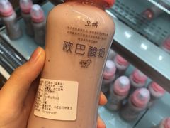 欧巴酸奶-格瑞思动物奶油生日蛋糕(圆融店)