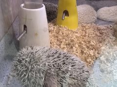 -嘉兴海底世界
