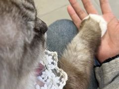 -怪兽屋·羊驼·猫咖·狗咖(俊华广场店)