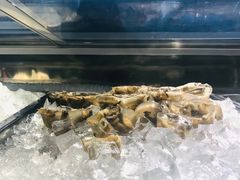 -铭聚章鱼土笋冻(松柏店)