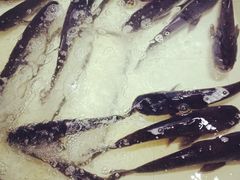 -魏铭鱼头捞饭(晋阳路店)