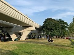 -阳台山森林公园