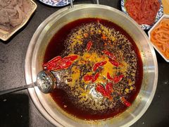鲜毛肚-飘香火锅(玉林西路店)