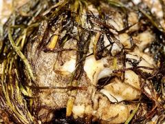 葱烤鸦片鱼头-老吉士酒家(天平路店)