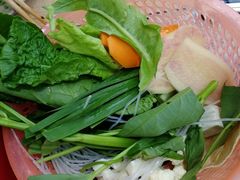 自取蔬菜-马帮菜馆·美味野生菌