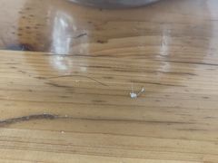 -炳记牛味粉店(四坊路店)