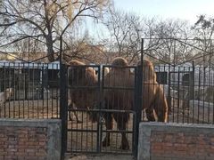 -保定市动物园