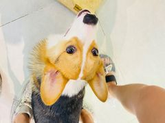 -Heymao猫咖.咖啡厅(东门店)