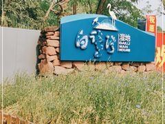 -白鹭湾湿地公园