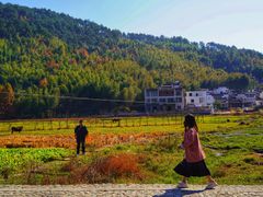 -塔川景区