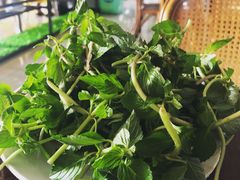 水香菜-朝伟清真铜瓢牛肉馆(三十年老·店)
