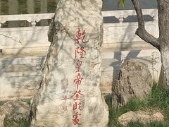 -桃花堤公园
