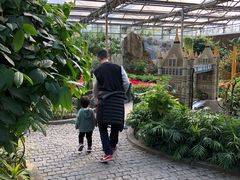 景点-南宫五洲植物乐园