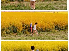 -中国天府农业博览园