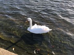 -海德公园