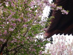 -西安青龙寺遗址景区