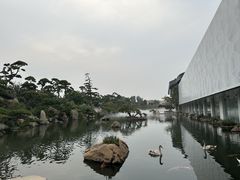 -罗红摄影艺术馆