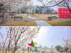 -国际非物质文化遗产博览园