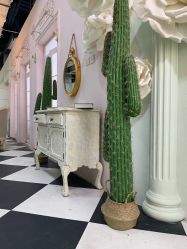 -星光贝贝(万达店)