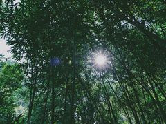 -英西峰林·洞天仙境