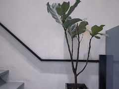 -春树下·树屋花房西餐厅(罍街AS1980店)