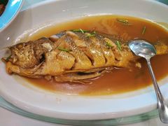 -良友·海鲜青岛菜(五四广场店)