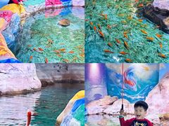-顺德南宏海立方海洋公园