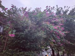 -黄埔古港